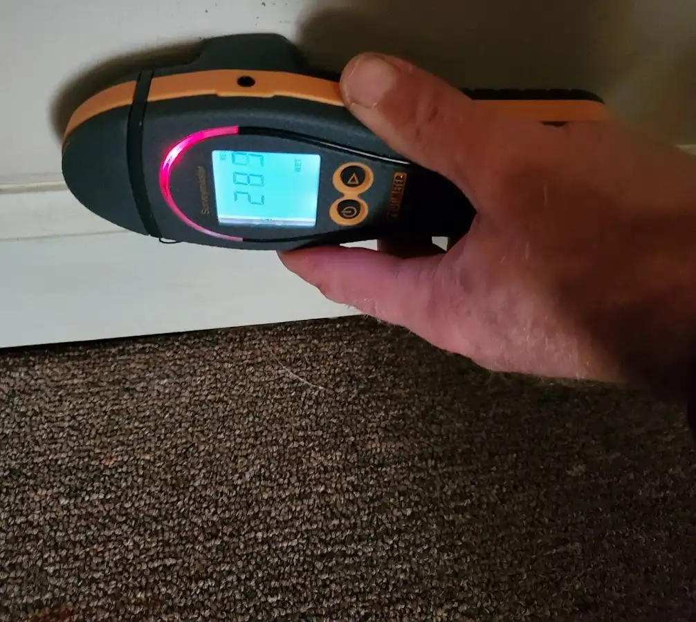 Moisture detection at baseboard during Sewage Cleanup & Sanitation in Berkley